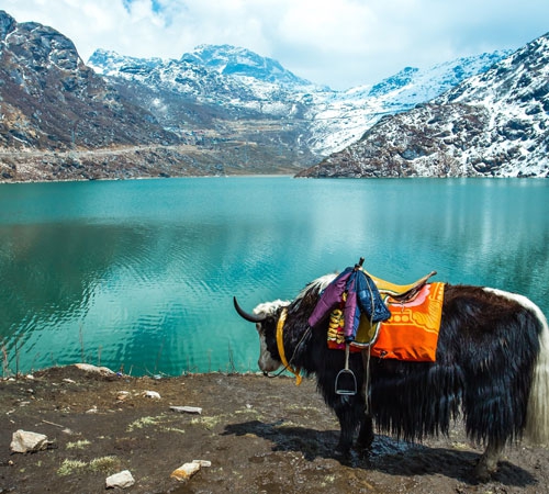 9N / 10D Trekking Tour